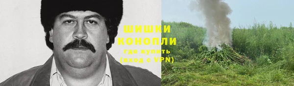 трава Заволжье