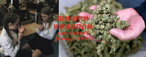 мяу мяу мука Заводоуковск