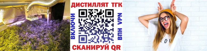 ТГК концентрат  Купить где  Нестеров 