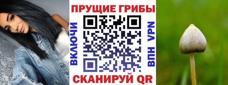 Купить где  Нестеров  Галлюциногенные грибы мухоморы 